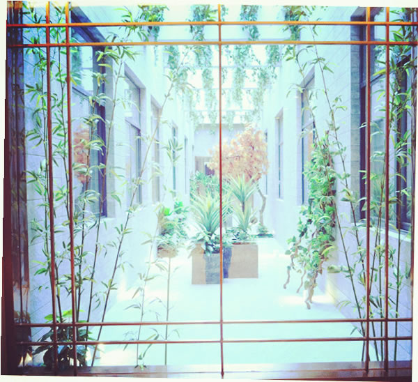 1480577046292.jpg 空中花園.jpg