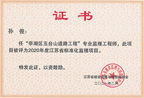 江蘇省標準化監(jiān)理項目_孫?。?020年度）