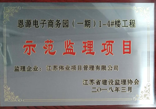 恩源示范監(jiān)理項目獎牌