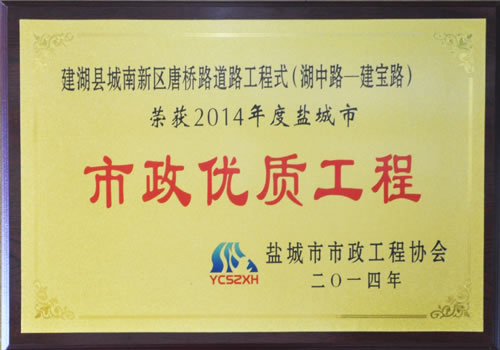 唐橋路市政優(yōu)質(zhì)工程