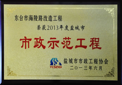 東臺市海陵路市政示范工程